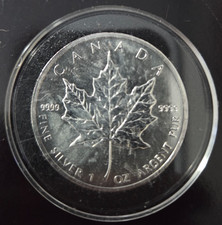2019 1 oz Canadian Silver Maple Leaf Coin (BU)