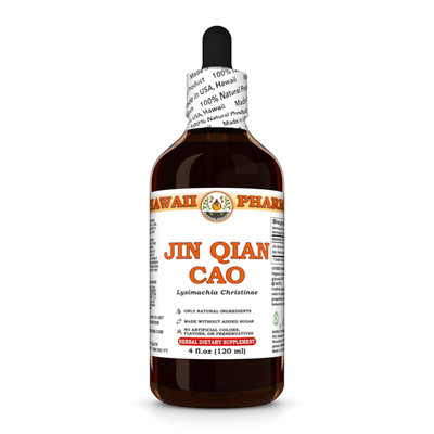 Jin Qian Cao (Lysimachia Christinae) Dried Herb Liquid Herbal Extract