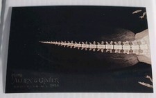 2024 Topps Allen & Ginter Oregon Zoo X-Ray #XR-3 Beaver Tail