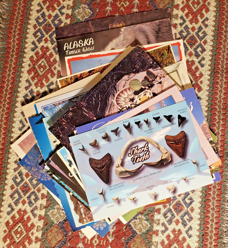 VINTAGE POSTCARD LOT of 38 MIX-YOSEMITE, ALASKA WOLF, GRAND CANYON, SHARK TEETH
