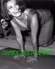 SOPHIA LOREN 8X10 Lab Photo B&W SEXY BUSTY 1962 PORTRAIT, WALK OF FAME