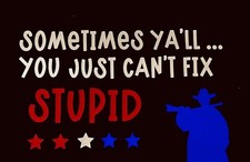 You just can  t fix stupid T-shirt