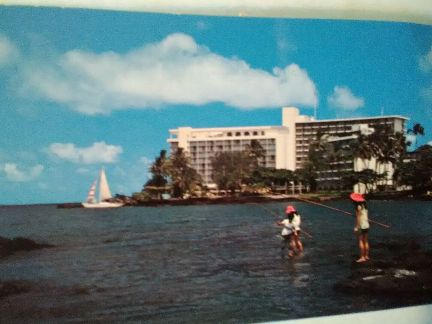 Picture 3 of 12