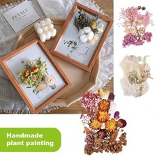 Real Dried Flowers Set Art Craft Epoxy Resin Candle Making Jewelry Glass