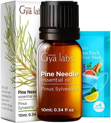 Gya Labs Pine Essential Oil - 0.34 Fl Oz - for Hair, (Pack of 1)