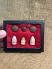 Nice Display Dug Civil War Eagle Buttons And Dropped Cavalry Bullets North Ga