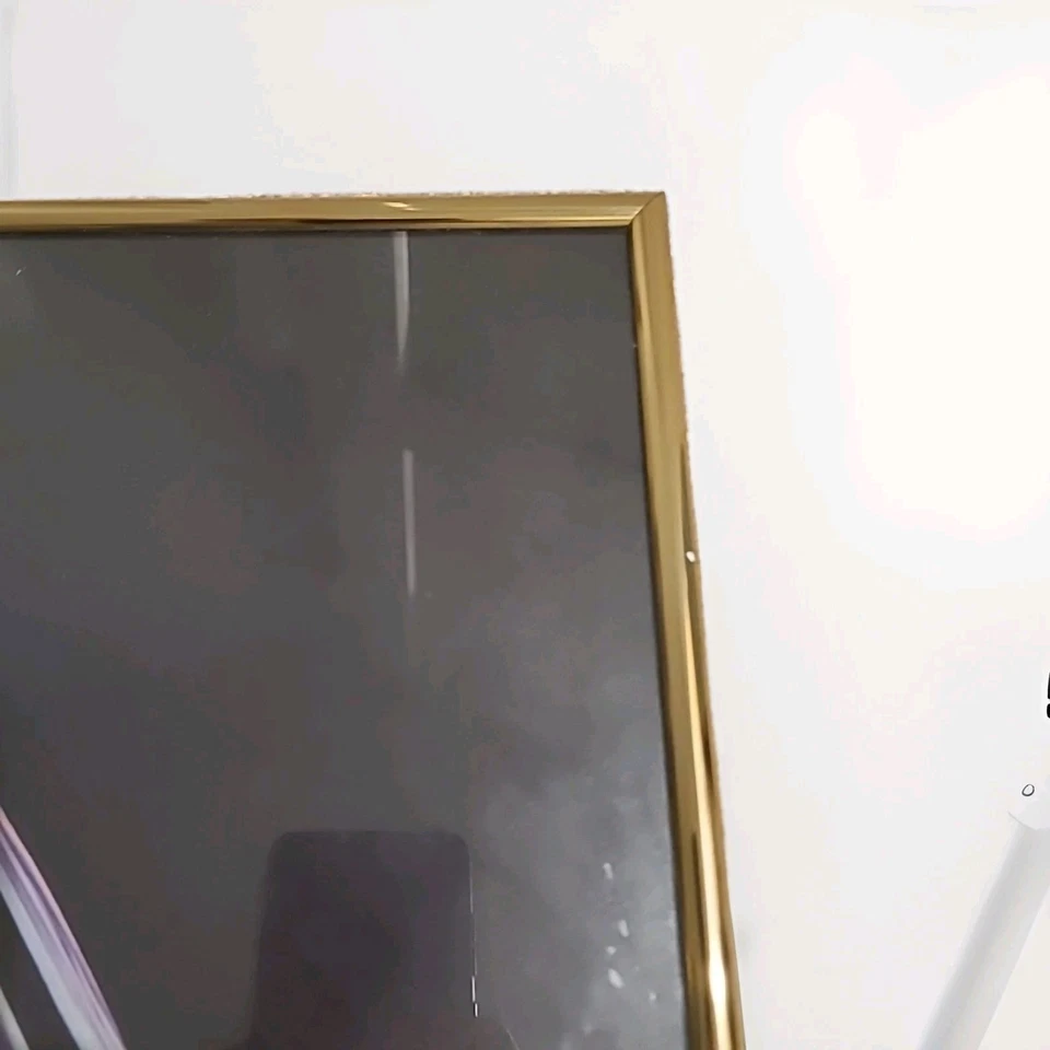 FOTO TROFEO SUPER BOWL ENMARCADO EN ORO DE LOS PITTSBURGH STEELERS CON "DAHNTAHN" 18"X20" Foto 4 de 4