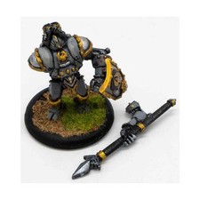 Warmachine Cygnar Loose Cygnar Collection #35 NM