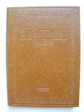 METAMORA AMONG THE HILLS by Lucy Miller 1979 Book Lapeer County Michigan History