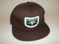 Vtg UNWORN BETASEED SUGAR BEET SEEDS FARMER TRUCKER SNAPBACK HAT
