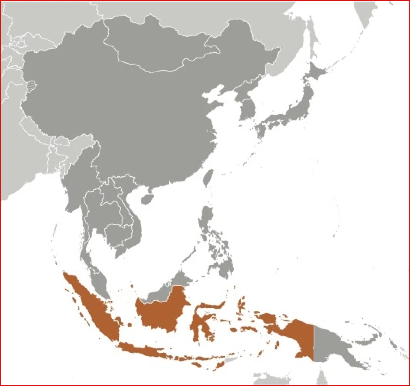 a $2.50 Scott Value - 2000 INDONESIA Komodo Dragons Asiático CV MNH NH UMM Foto 4 de 4