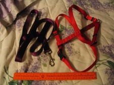 Dog lot for Lg dog harness and leash NEW 2 pcs  L00k