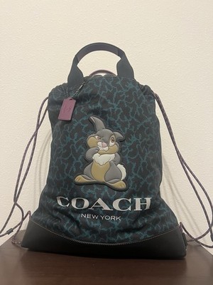Disney X Coach Terrain Drawstring Backpack With Wavy Animal Print And Thumper