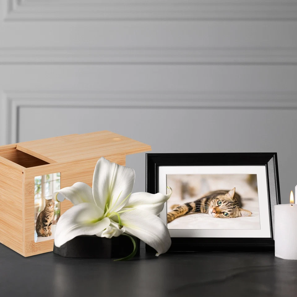 Tierurne Urne für Hunde und Katzen Katzenurne Aschebox 3 L 720 g natur Hundeurne - Bild 2 von 4