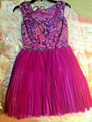 Sherri Hill Homecoming Tulle beaded plum color full skirt short dress sz 2  G | eBay