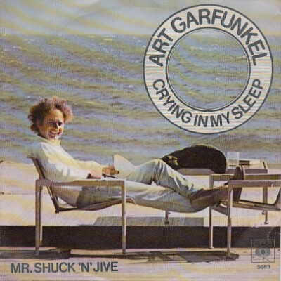 Art Garfunkel - Crying In My Sleep / Mr. Shuc 7'' Single Vinyl Sch