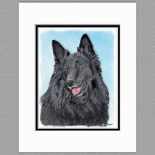 Belgian Sheepdog Dog Original Art Print 8x10 Matted to 11x14