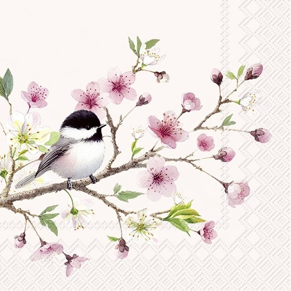 4 x Paper Napkins/33cm/3Ply/Decoupage/Craft/Birds/Longtail Tit on Blossom Branch