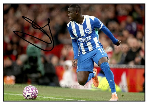 11222. Yankuba Minteh Signed Pictures A4 Prints Brighton Newcastle Feyenoord etc