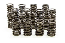 ISKY CAMS 1.260in Valve Springs 295D