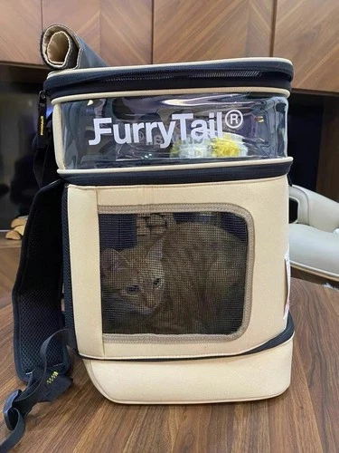 40 cm Large Foldable Detachable Cat Backpack For Adventurous Cats and Humans - Picture 11 of 11