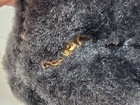 Bild 9 von 10