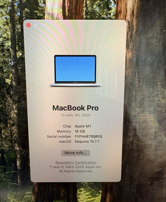 Apple MacBook Pro 13'' 2020 M1 16GB RAM 256GB SSD Silver A2338 Sequoia