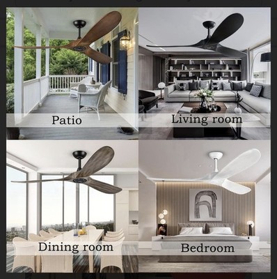 Large Ceiling Fans without Light, 60 Inch Modern Ceiling Fan with 3 Wood Blades