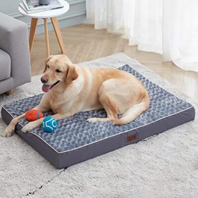 coleman pet cot large