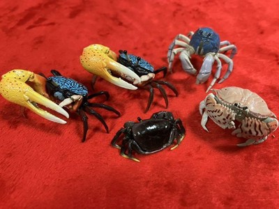KAIYODO Capsule Q Museum Japan crab Encyclopedia 5 Figure Gashapon