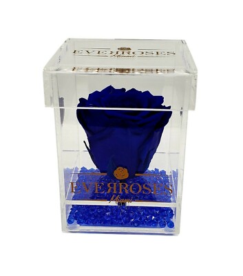 ROYAL BLUE Rose in a single Acrylic box real long-lasting preserved rose