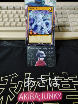 Yugioh RD/MAX1-JP027 Blue-Eyes White Cat Rush Duel JAPAN | eBay