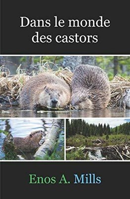 Dans le monde des castors Buch Béhuret