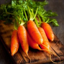 LITTLE FINGER CARROT 700 SEEDS NON-GMO FRESH FOR GARDENS