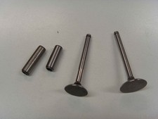 Kit valvole con guida valvole motore DIESEL LOMBARDINI 6LD360 6LD400 KIT6L2