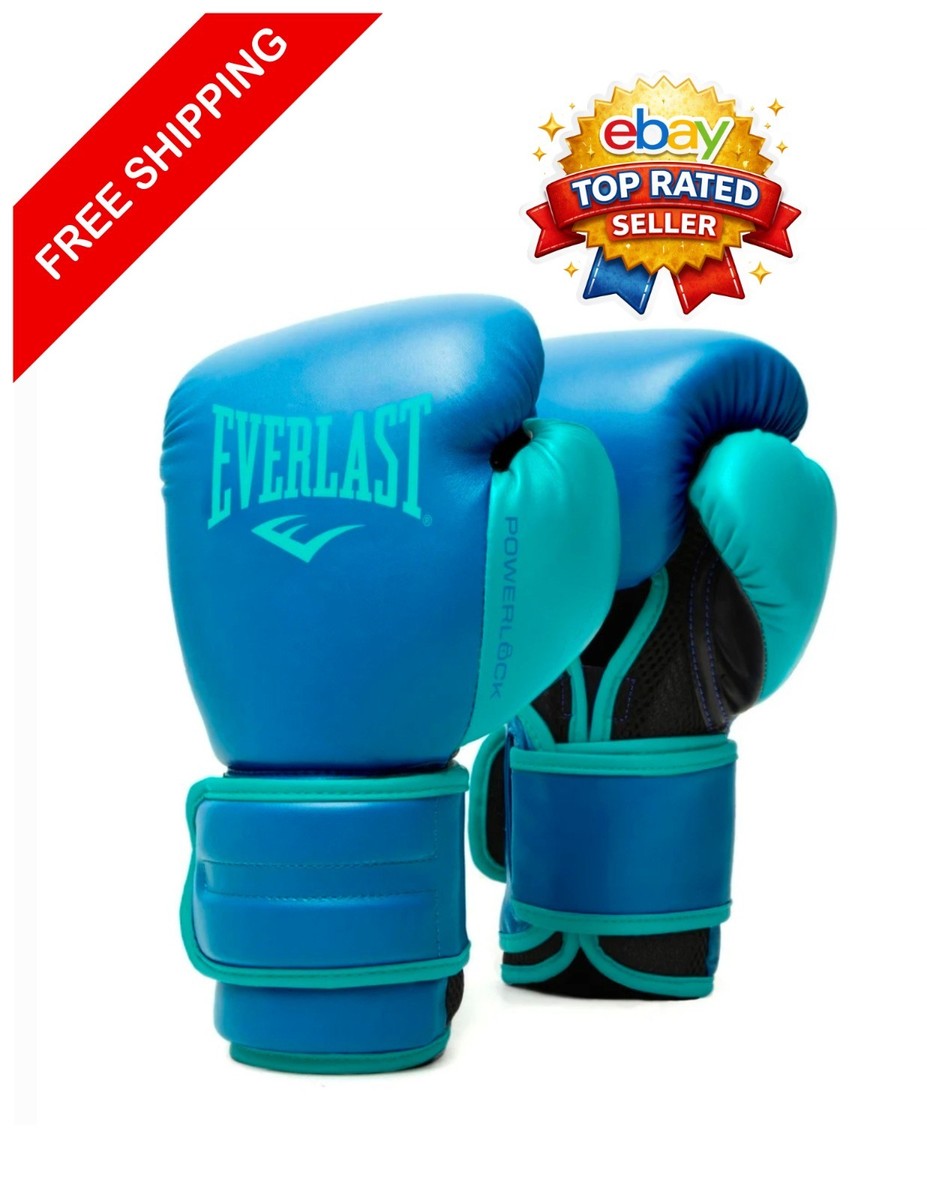 EVERLAST POWERLOCK ボクシンググローブ 赤/青16oz 極美品 ボクシング
