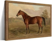Framed Vintage Horse Wall Art, Rustic Antique Farmhouse Canvas Wall Decor Pai...