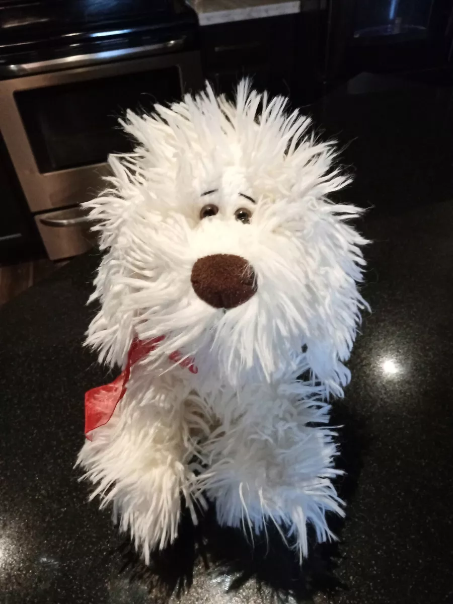 White curly clearance puppy