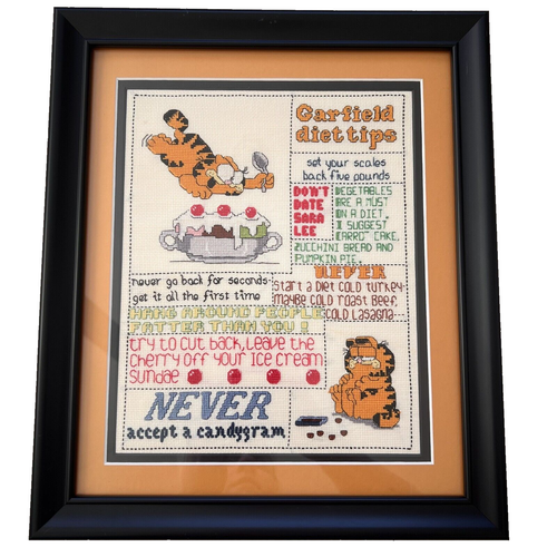 Vintage 1984 Kreuzstich Garfield Diät Tipps gerahmt Doppelpassepartout Sampler-Stil