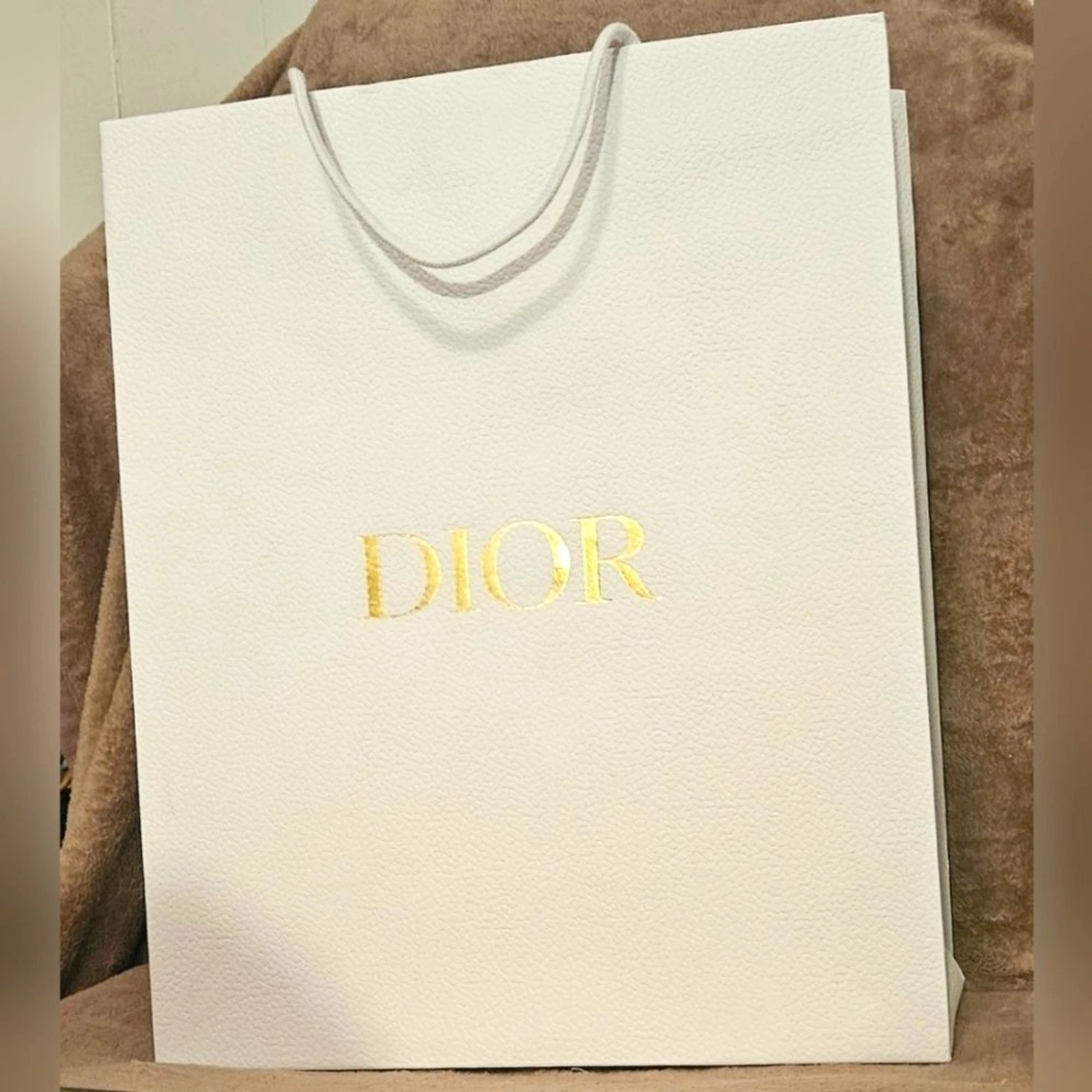 Grand sac à main Christian Dior papier grainé emballage cadeau shopping abeille blanche