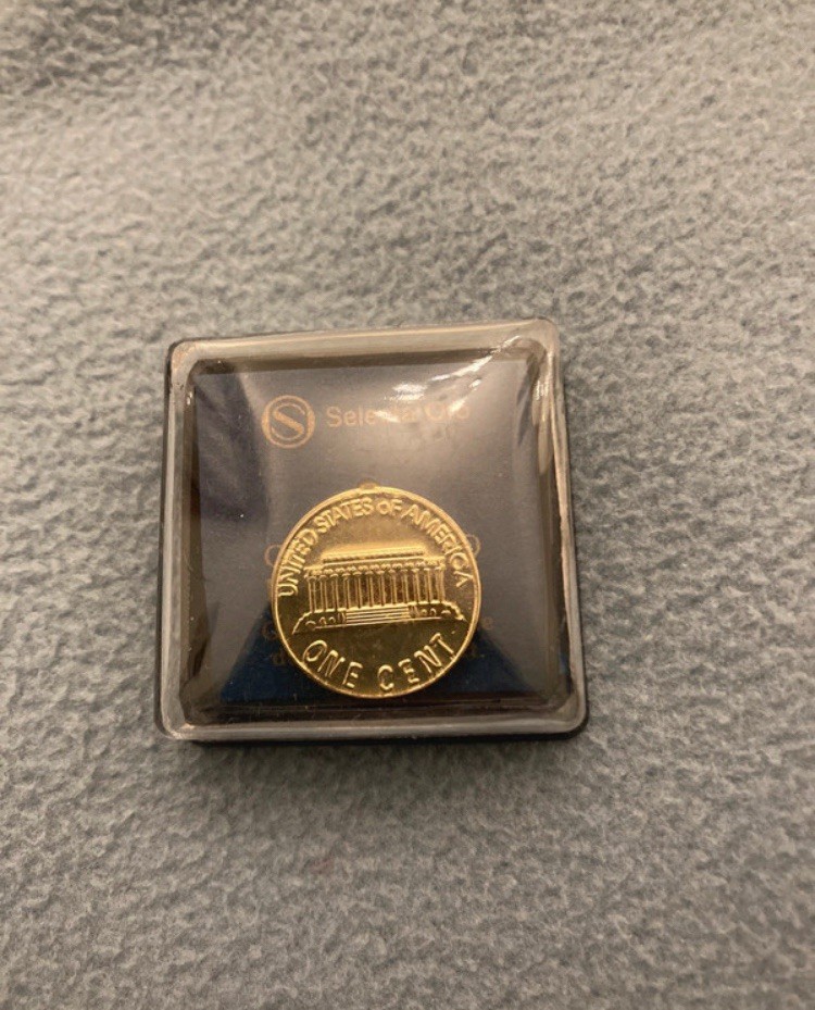 Selecta Oro Spilla Pin 1 Cent United States of America (Americana)
