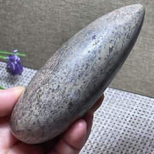 123*45*45mm Awesome! polished dinosaur bone specimen Madagascar collection 317g