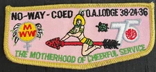 BSA ORDER OF THE ARROW NO-WAY-CO-ED-OA LODGE GMY 75TH ANN MOTHERHOOD SPOOF FLAP