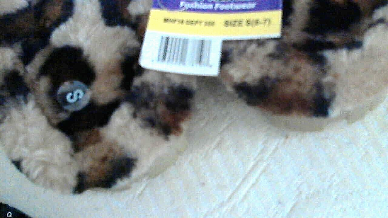 Picture 5 of 5