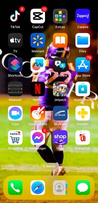 iPhone 14 ProMax with TIKTOK AND CAPCUT installed. Preowned MINT condition 