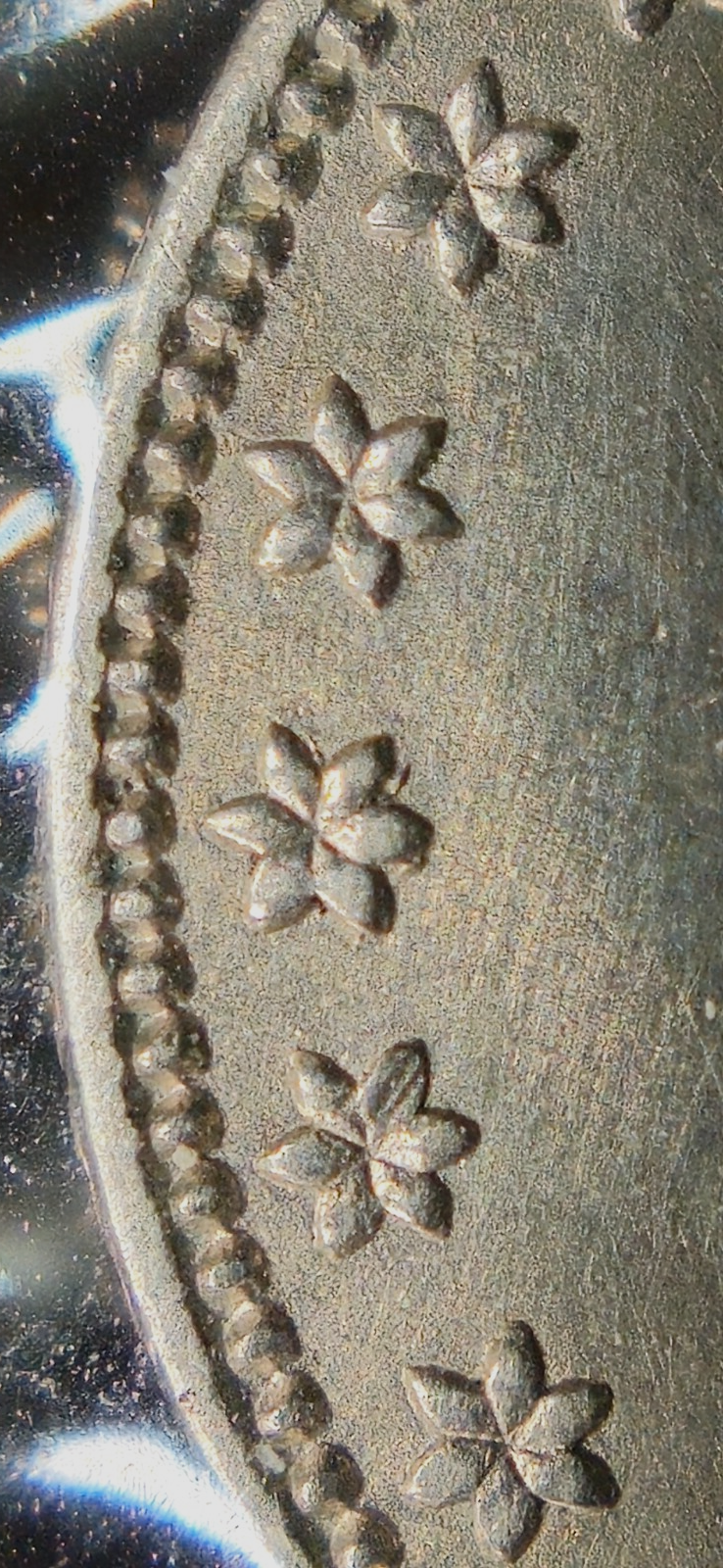 Picture 7 of 14