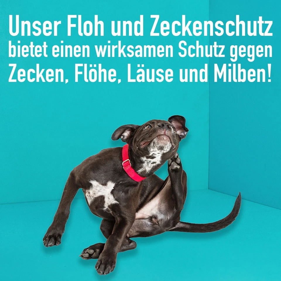 GreenHero Zeckenschutz das Zeckenspray und Flohmittel für Hunde Katzen - Bild 4 von 4