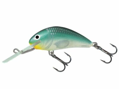Salmo Hornet H5F 5cm 7g Floating Crankbait Wobbler Köder NEU FARBEN 2023