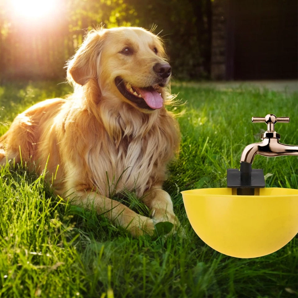  15 Pcs Futtertrog Hühner Hühner Futterautomat Wasserschale Futtermittelschale - Bild 2 von 4