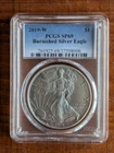 2019 W Burnished American Silver Eagle MS69 PCGS MILK SPOTS